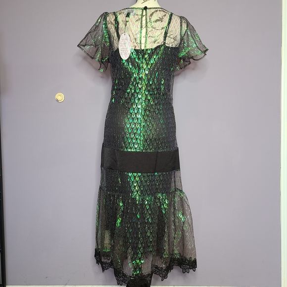 Unique Vintage Peacock Flapper Dress - Picture 6 of 16